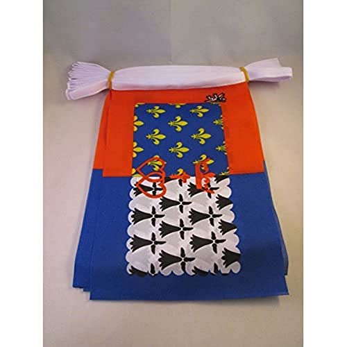 Image of AZ FLAG Pays de la Loire 6 meters BUNTING Flag 20 flags 9'' x 6'' - French region of Pays de la Loire STRING flags 15 x 21 cm