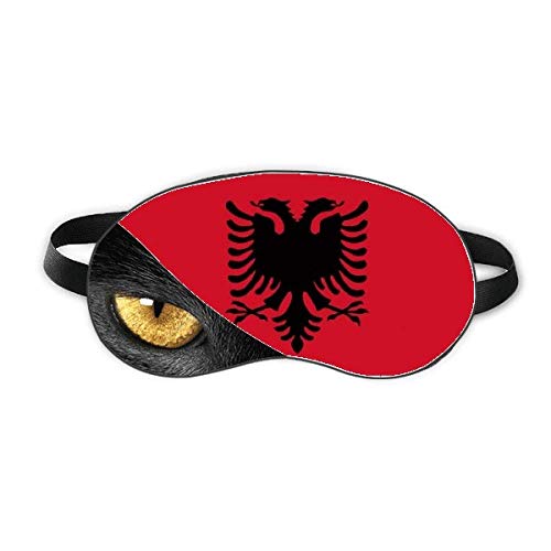 �A���o�j�A�������[���b�p�̍� �x�ݖڂ̎Ռ����e���