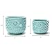 Nattol Owl Succulent Planter, Turquoise Animal Ceramic Planter Pots with Drainage, Set of 2