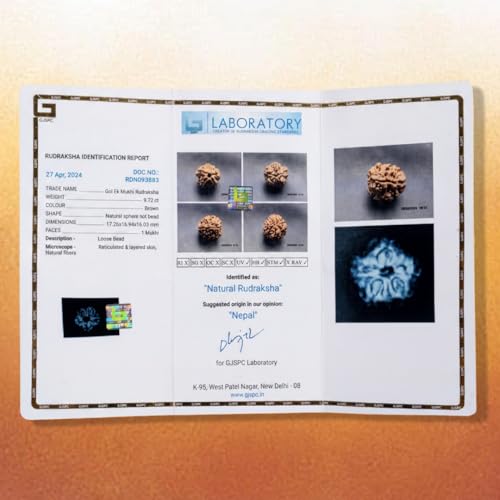 Image of Divine Hindu 1 Mukhi GOL Rudraksha | GJSPS Certified | Original Nepal Ek Mukhi Round Bead | Single Face Rudraksha for Moksha, Meditation & Shiva Devotion