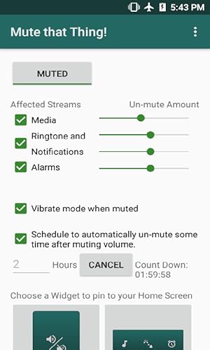 Mute that Thing!