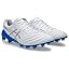 106 (white/pure silver)