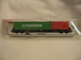 Fleischmann HO Waggon mit Container Evergreen