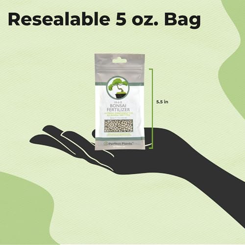PERFECT PLANTS Bonsai Fertilizer Pellets - 5 Year Supply - All Natural Slow Release - Immediate Enrichment for All Live Bonsai Trees