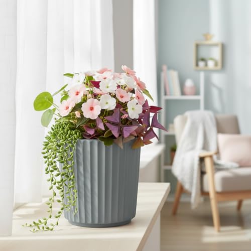 Image of Xtore Sleek Ribbed Ceramic Planter Pot for Indoor Plants | Contemporary Minimal Flower Pot for Home, Office Desk & Balcony Decor (Matte Grey - Planter only)