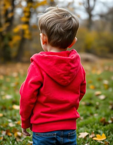 Image of LOFN Stylish Kids Hooded Sweatshirt (KDSW50-RDBL)