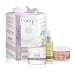 basq 9-Month Stretch Essentials Kit