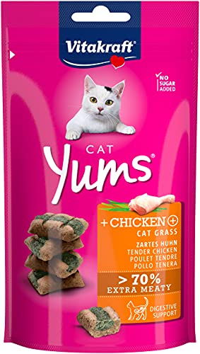 Premios Gatos Bebe Marca Vitakraft