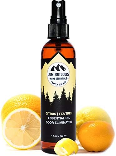 Natural Shoe Deodorizer Spray & Odor Eliminator by Lumi Outdoors - Fresh Citrus Tea Tree Essential Oil Odor Eater