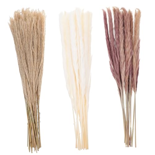 Cabilock 60 Unidades Flores de junco secas suprimentos de terrário junco para decoração de vaso plan