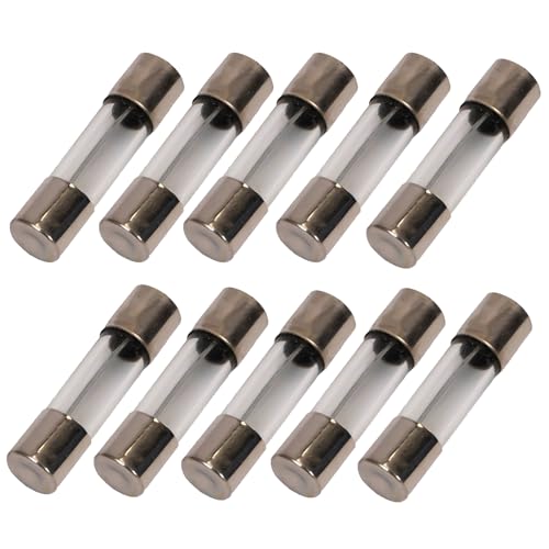 3.15A Delon Technology - Glass Fuses, time-lag, 10 Pack, 5x20mm / 0.2 x 0.78 Inch, 250V, T3.15AL250V