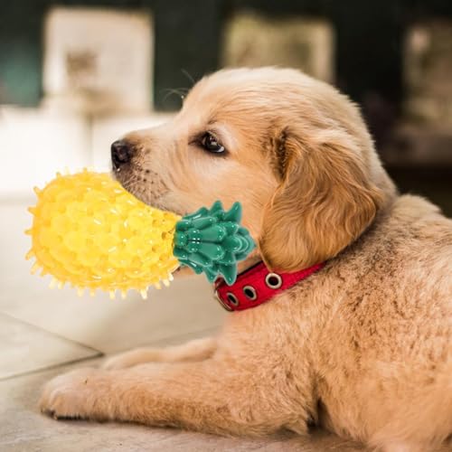 Image of Madhabi Pineapple Squeaky Dog Chew Toy for Puppies & Small to Medium Dogs - Durable Rubber Teething Toy for Interactive Play, Teeth Cleaning, Biting Control & Fun Playtime
