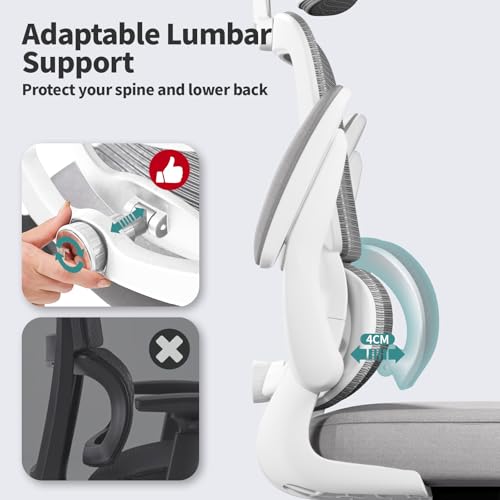 TRALT Ergonomic Desk Chair, Modern Style, 330 LBS, Mesh Back & Seat, Adjustable Headrest & Lumbar, Wheels, Office & Gaming, Grey