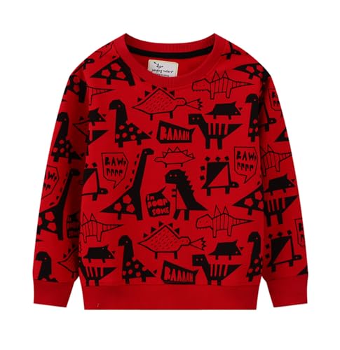 Boys Sweatshirts Casual Sweatshirts Cotton Sweatshirts Long Sleeve T-shirts Crew Neck Cartoon Tops for Boys-743