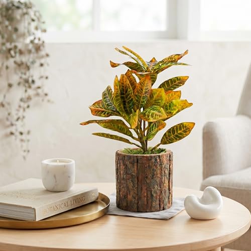 Image of Dekorly Artificial Croton Plant with Real Wooden Vase (20CM Overall Height) | Decorative Lifelike Faux Floral Plant in Rustic Tree Log Pot for Living Room