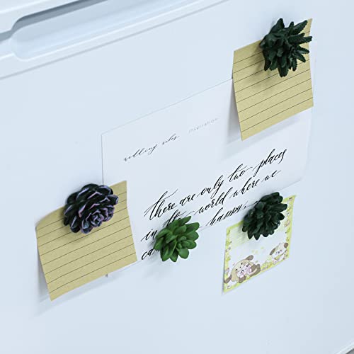 Imanes decorativos de resina con diseño de plantas suculentas, set de 8 miniatura 7