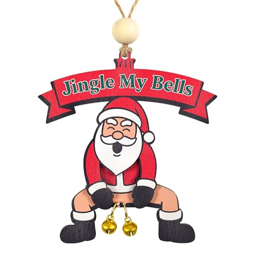 White Elephant Gifts for Adults - Funny Christmas Ornaments 2025