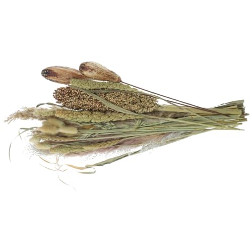 Healeved Ramo de Flores Secas de Pampa Alta y Caña Seca Decoración Bohemia para Jarrones Adorno para Sala y Hogar Estilo Nórdico 1 Manojo para Decoración de Mesa