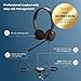 Jabra Evolve 20 Wired Headset (2025 Edition) - Dual-Ear Wired Headset for Office and Work from Home - Call Control - Certified for MS Teams - USB-C/A Connectivity - Black