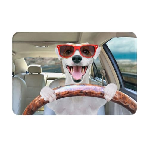 �W���b�N���b�Z���e���A ���� �������� �N�[�� ���փ}�b�g ���� ���O ���� ����~�� �D���Ƃ� �􂦂� ������� �z�� �ϖ��� �h�L �l�G���p 40×60cm HBTV127T