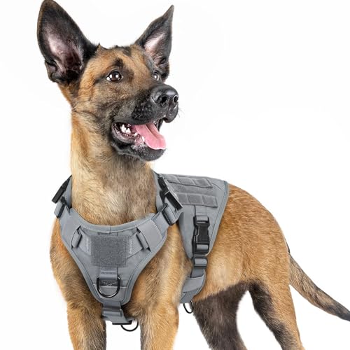 rabbitgoo Tactical Dog Harness for Small, Heavy Duty Pet Harness with Handle, No-Pull Service Vest Small Breed, Adjustable Military Dog Vest for Training Hunting Walking, Grey, S
