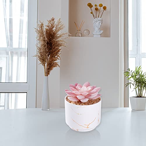 Zenida Succulent Artificial Plants,Cute Fake Succulents In 1 White Ceramic Pots,Small Fake Plants For Office,Table,Desk,Bathroom, Bedroom,Aesthetic Room Shelves Decor,Desk Decorations For Women Office #TOP3