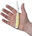 CASE XX WR Pocket Knife Yellow Synthetic Mini Trapper Carbon Steel Item #029 - (3207 CS) - Length Closed: 3 1/2 Inches