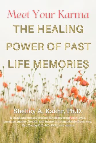 Meet Your Karma: The Healing Power of Past Life Memories (Past Life Regression)