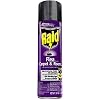 Raid Flea Killer Carpet and Room Spray, 16 Ounce (Pack of 1)