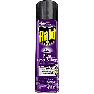 Raid Flea Killer Carpet and Room Spray, 16 Ounce (Pack of 1)