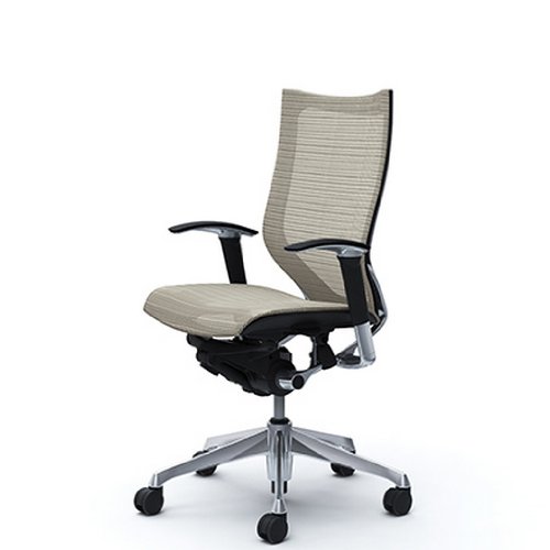 バロン (Baron) チェア 【ハイバック】 ポリッシュフレーム 可動肘 座メッシュ ホワイト CP85AR FEH3