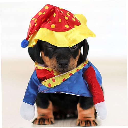 Disfraz payaso para perro talla 2XL miniatura 3