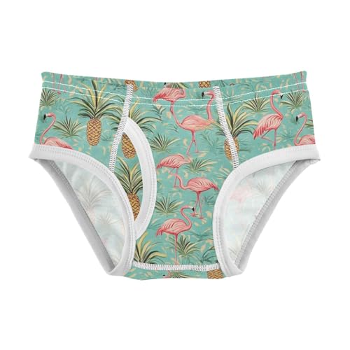 Wusikd Pink Flamingos Pineapples Boys' Underwear Cotton Palm Leaves Boys Briefs Soft Toddler Underwear 2T