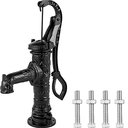 El mejor review de Bomba agua antigua - solo los mejores. 3
