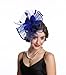 SAFERIN Fascinator Feather Mesh Net Veil Wedding Church Tea Party Hat Flower Derby Hat Women Girl (TA1-Sapphire Blue)