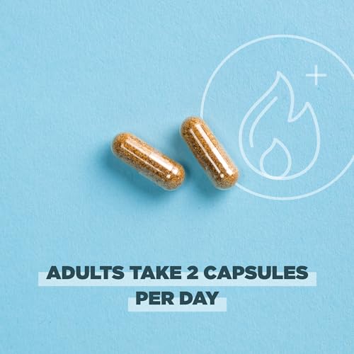 Ancient Nutrition RSS7375 Regenerative Organic Certified Probiotics For Metabolism Support thumb #4