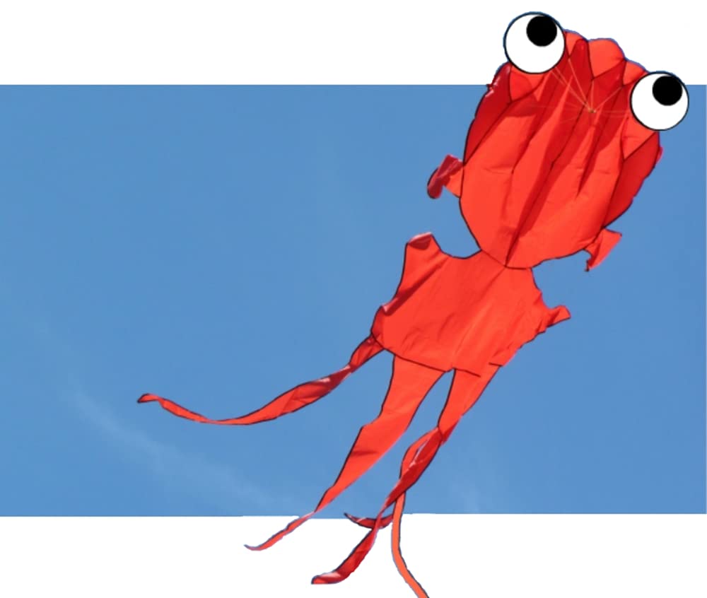 Large 3D Parafoil Goldfish Parafoil Kite