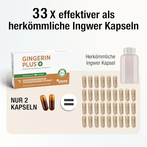 Stärkste Bio Ingwer Kapseln - 22.000mg Ingwerpulver pro Tagesdosis - höchste Gingerol & Shogaol Werte - 2 Kapseln Gingerin PLUS liefern den… – Ansicht 5