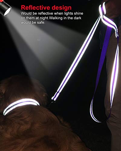 Joytale 19-23 Inches Dog Collar And 6Ft Leash, Reflective Heavy Duty Neoprene Padded Pet Collars And Leashes For Large Dogs #TOP6