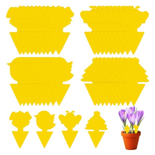 Fruit Fly Traps, Fruit Fly Catcher Indoor Yellow Double-Sided Fungus 40 PCS, Gnats Killer Indoor Plants for Indoor and Outdoor Plant Fly, Multiple Insects Control - Waterproof