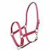 Miller's Adjustable Nylon Halter with Snap and Breakaway Leather-Magenta-Horse