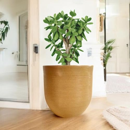 Image of Amazon Brand - Umi 10 Inch Large Plastic Planter Pot for Indoor Outdoor Plants | Big Size Garden Gamla UV Resistant Polymer Flower Pot | Brown Decorative Pot for Balcony, Garden, Terrace & Home Decor