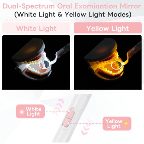 InhwRior Rechargeable LED Dental Mirror with USB Charging Function, Anti-Fog Mirror Surface, White & Yellow Dual Lighting, Detachable Design for Easy Cleaning(Pink)