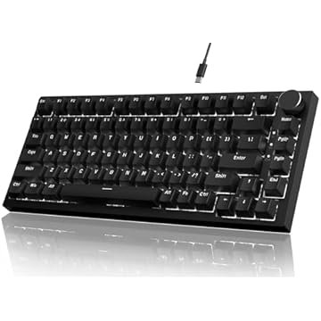 Attack Shark Ajazz AK820 Teclado mecânico para jogos com botão 75% teclado Hot Swappable Tipo-C com fio junta com 5 camadas de espuma absorvente de ruído branco LED retroiluminado NKRO interruptor