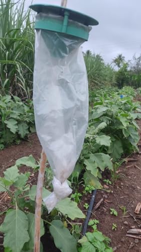 Image of Funnel Insect Trap (Pack of 20)