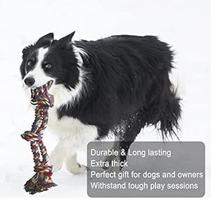 Jalousie 14 Pack Puppy Chew Dog Rope Toy Assortment for Small Medium Large Breeds Cucciolini Doodles Jalousie 14 pack puppy chew dog rope toy assortment for small medium large breeds cucciolini doodles