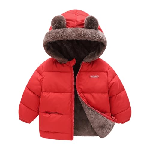 Kids Boys Fleece Lined Puffer Jacket Bear Ears Hooded Zip Up Solid Color Down Coat Toddler Boys Thick Padded Outwear