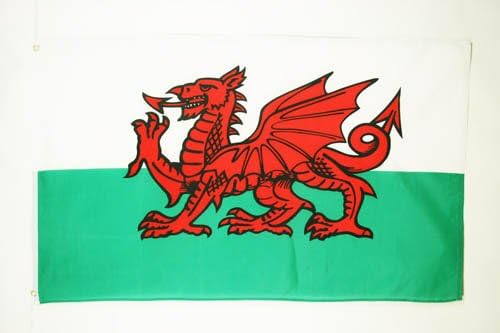 AZ FLAG Wales Flag 2' x 3' - Welsh flags 60 x 90 cm - Banner 2x3 ft