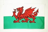 AZ FLAG Flagge Wales 250x150cm - WALISISCHE Fahne 150 x 250 cm - flaggen Top Qualität