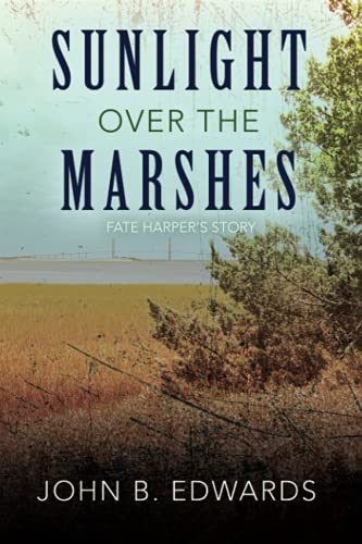 Sunlight Over the Marshes